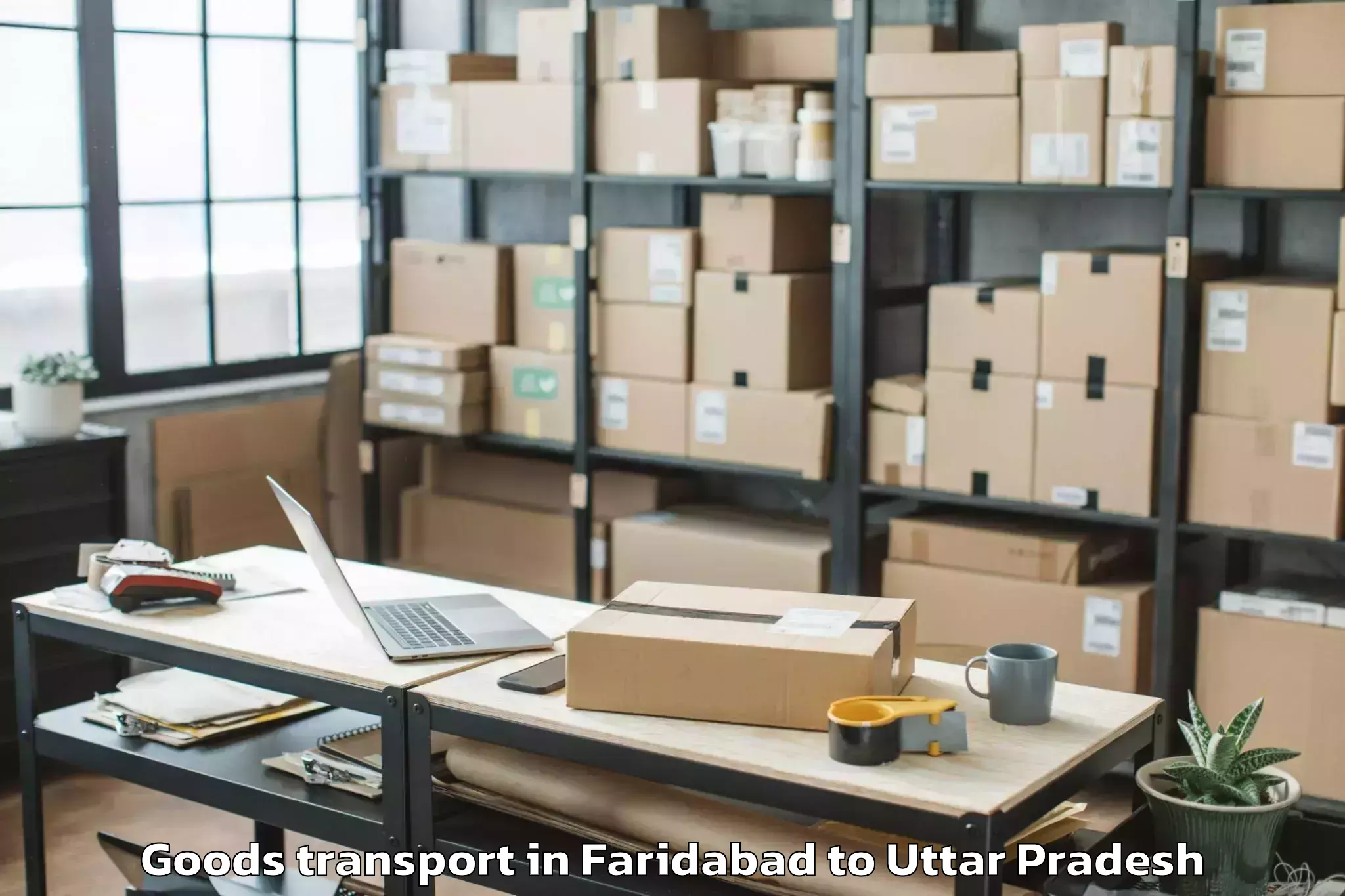 Faridabad to Mohanlalganj Goods Transport Booking